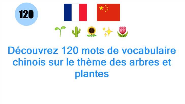Découvrez 120 mots de vocabulaire chinois sur le thème des arbres et plantes